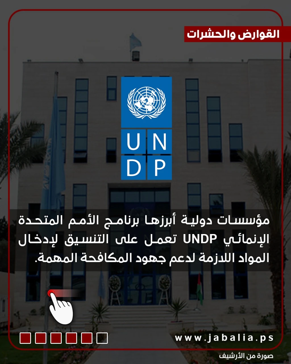 القوارض والحشرات.. بين معاناة المواطنين ومكافحة عرقلتها الحرب