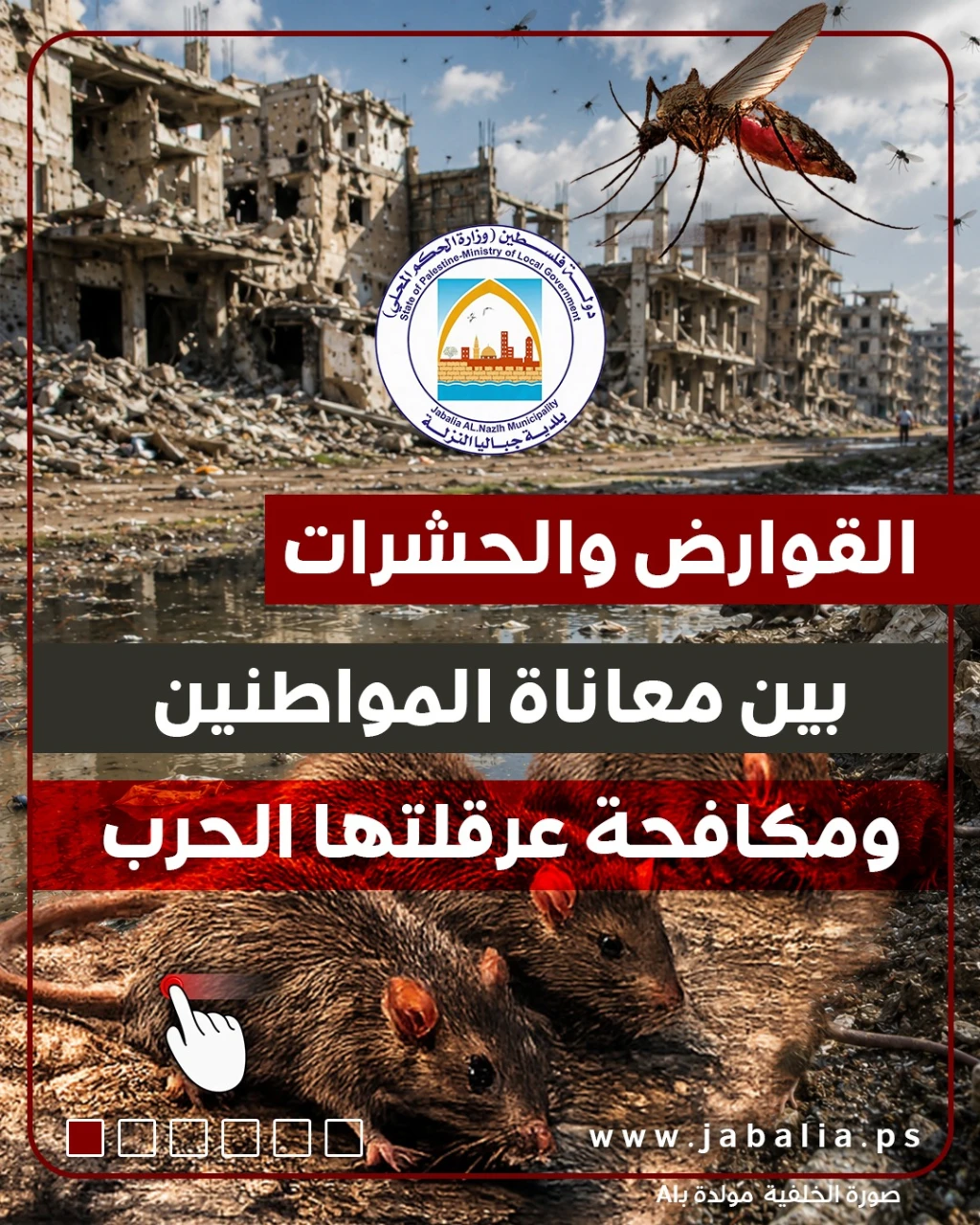 القوارض والحشرات.. بين معاناة المواطنين ومكافحة عرقلتها الحرب