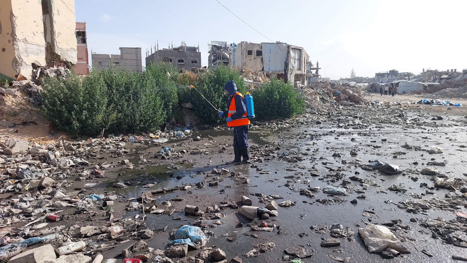 البدء في رش المبيدات الحشرية ضمن حملة مكافحة القوارض والحشرات