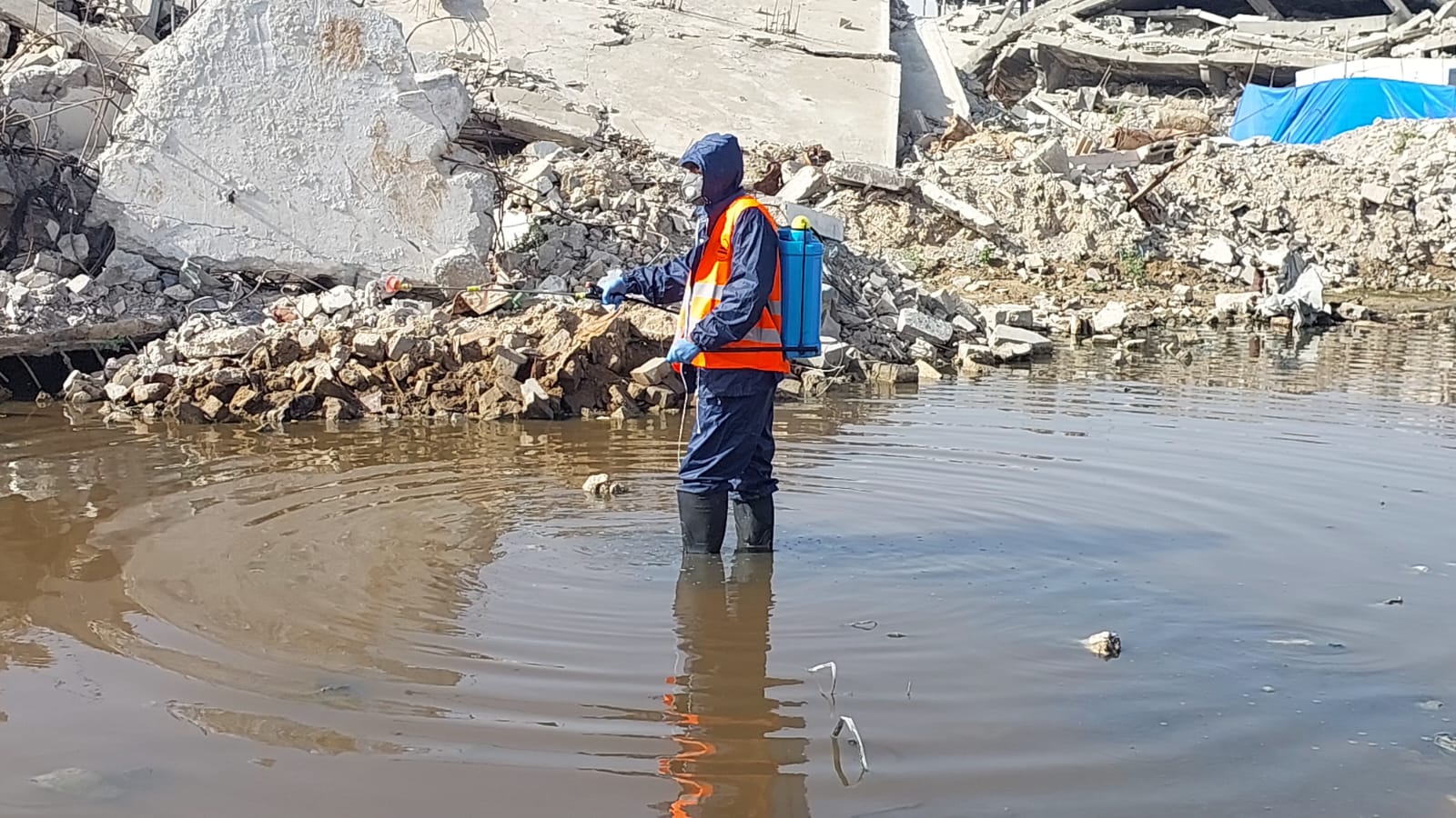 البدء في رش المبيدات الحشرية ضمن حملة مكافحة القوارض والحشرات