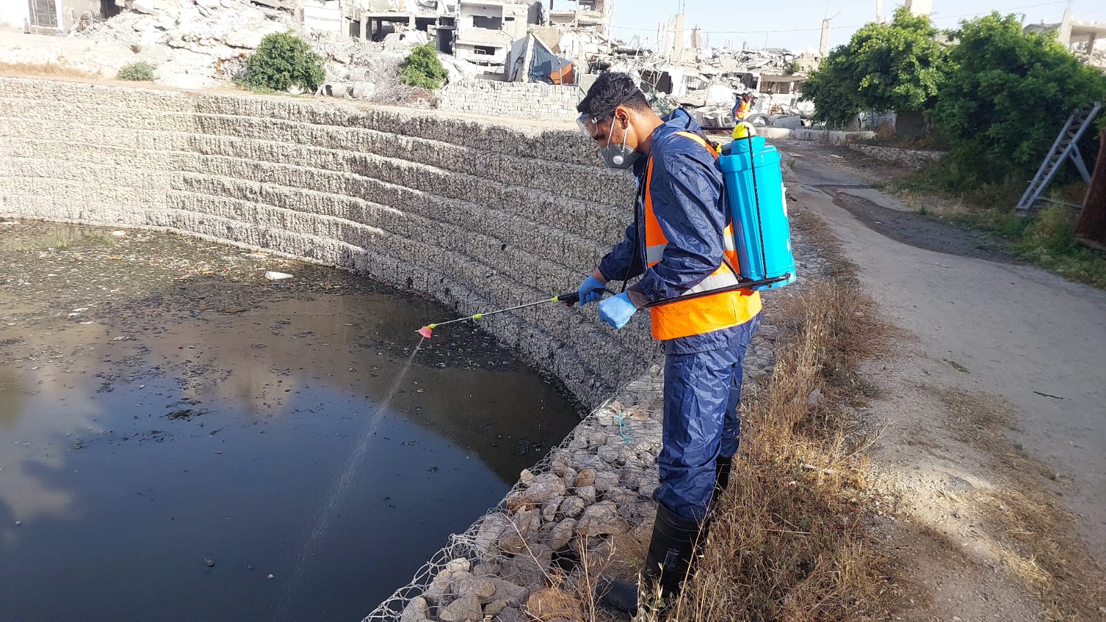 البدء في رش المبيدات الحشرية ضمن حملة مكافحة القوارض والحشرات