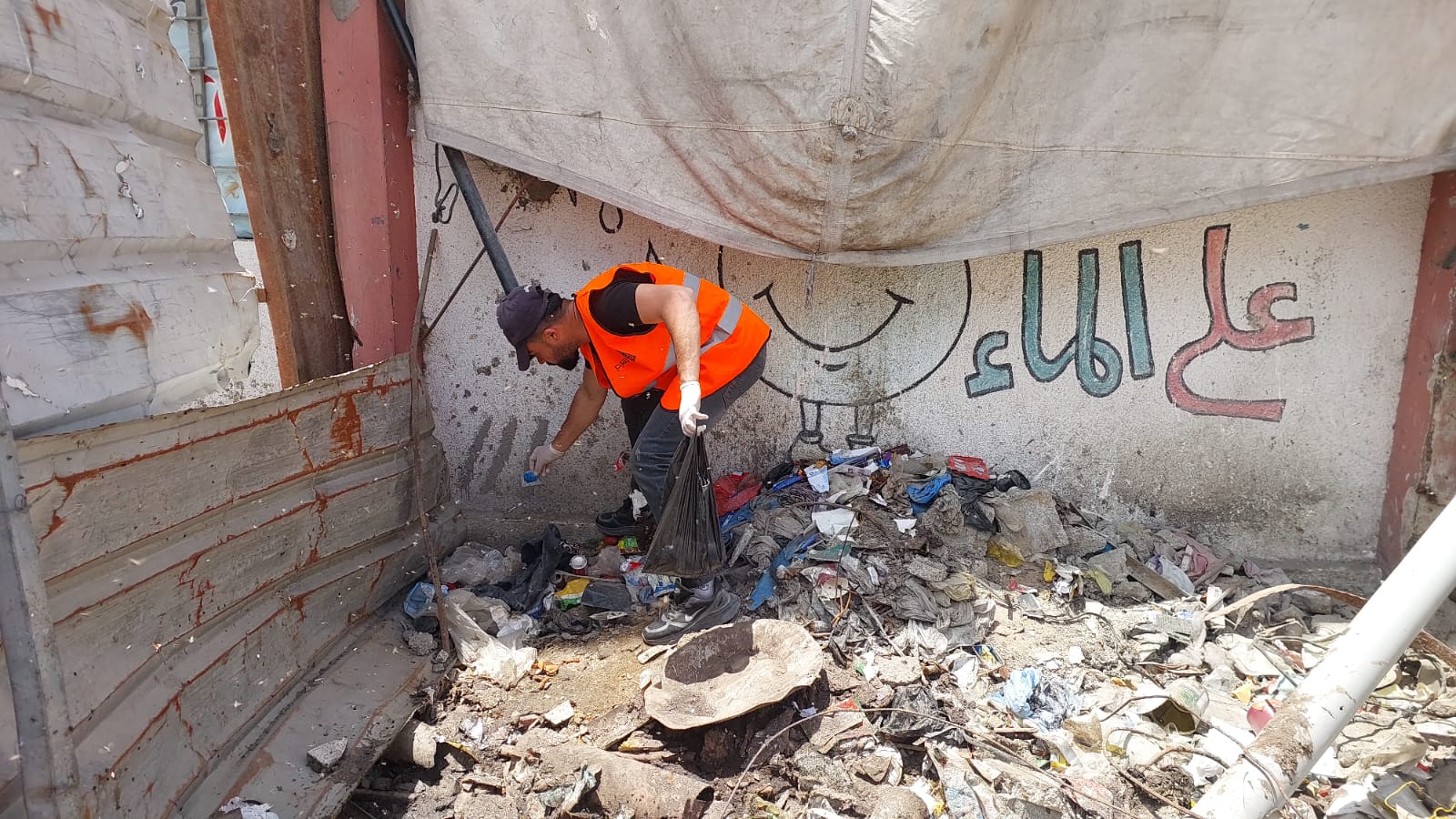 بدء جهود توزيع الطعوم السامة ضمن حملة مكافحة القوارض والحشرات