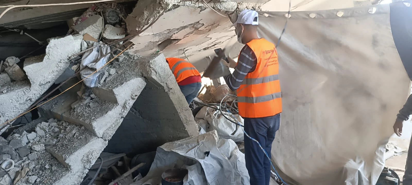 استمرار جهود محاربة القوارض في مدينة جباليا