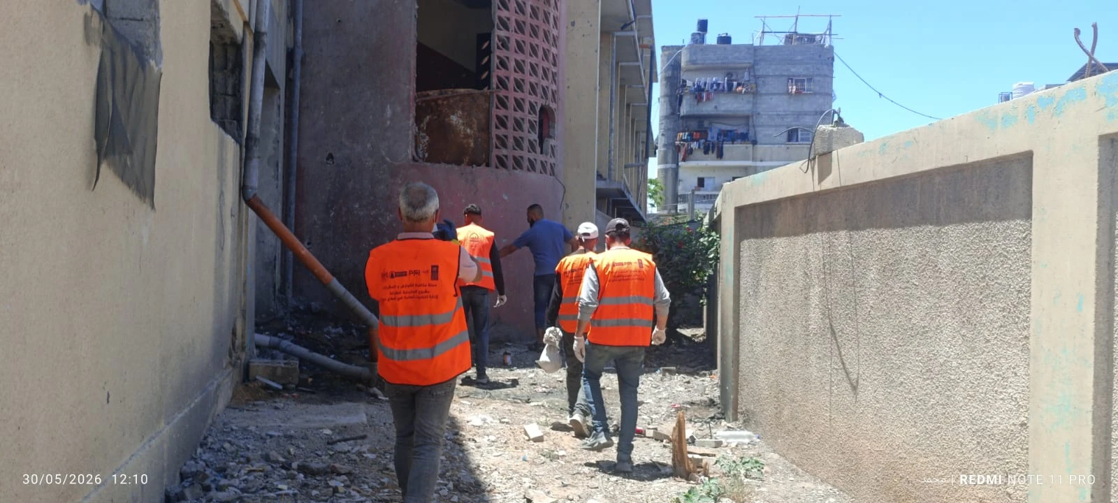 استمرار جهود محاربة القوارض في مدينة جباليا